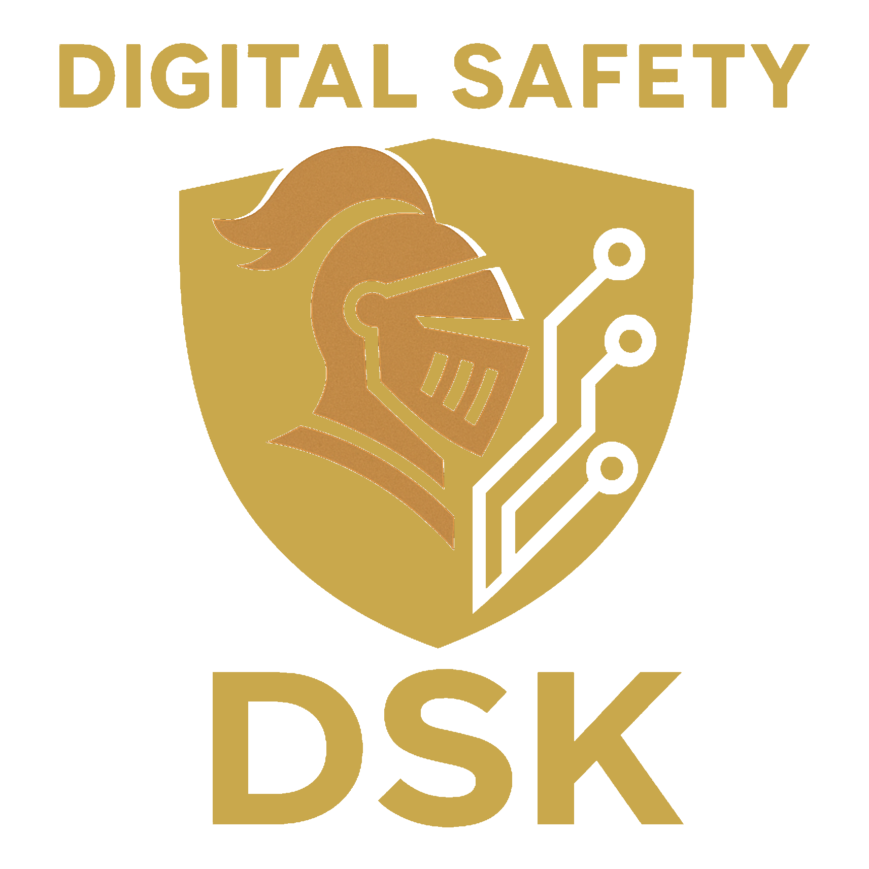 DSK Logo